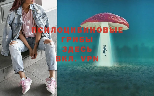 экстази Зеленокумск